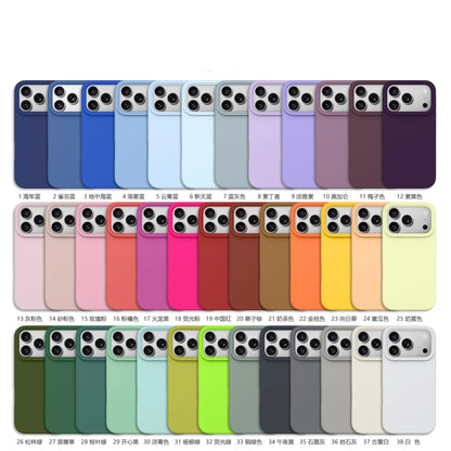 Liquid Silicone MagSafe Case for iPhone 17 16 Pro Max Plus Soft Back Cover
